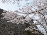 img0021.jpg