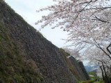 img0022.jpg
