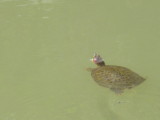 img0023.jpg