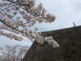 img0024.jpg