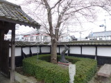 img0025.jpg