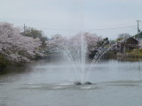 img0039.jpg