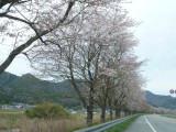 img0041.jpg
