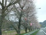 img0042.jpg