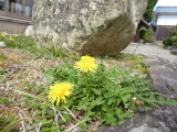 img0045.jpg
