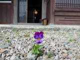 img0047.jpg