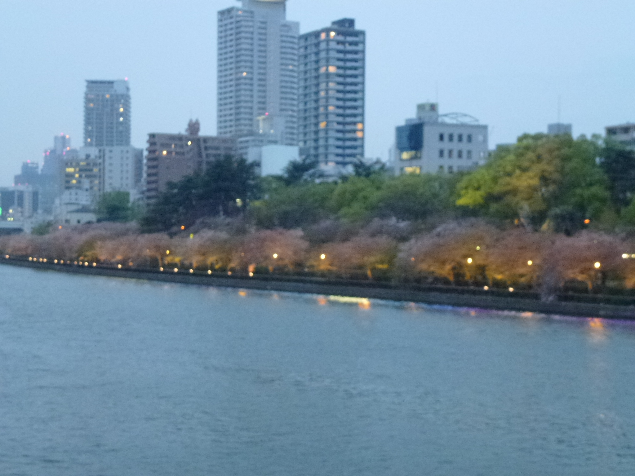 P1040299.JPG
