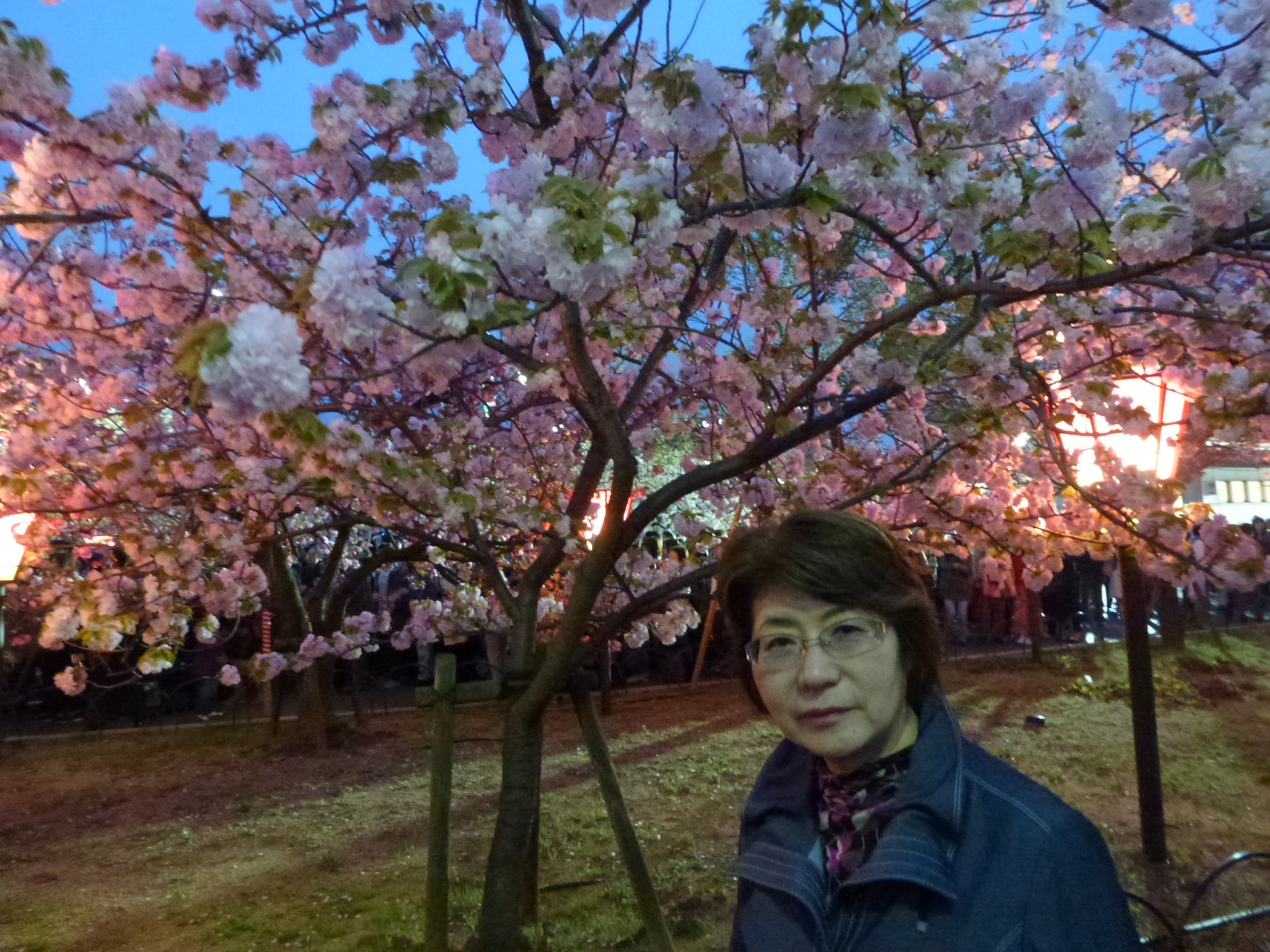 P1040307.JPG