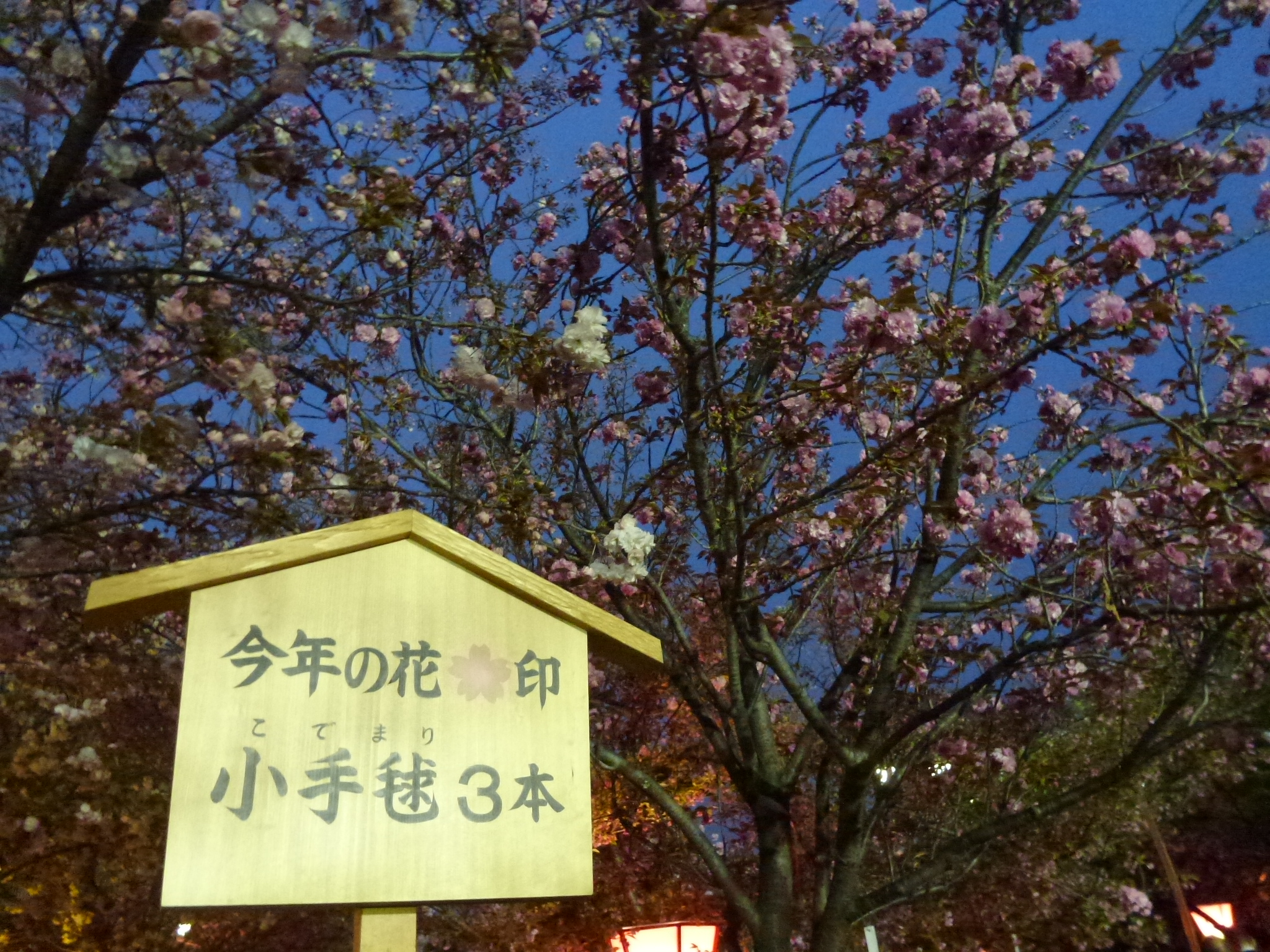 P1040308.JPG