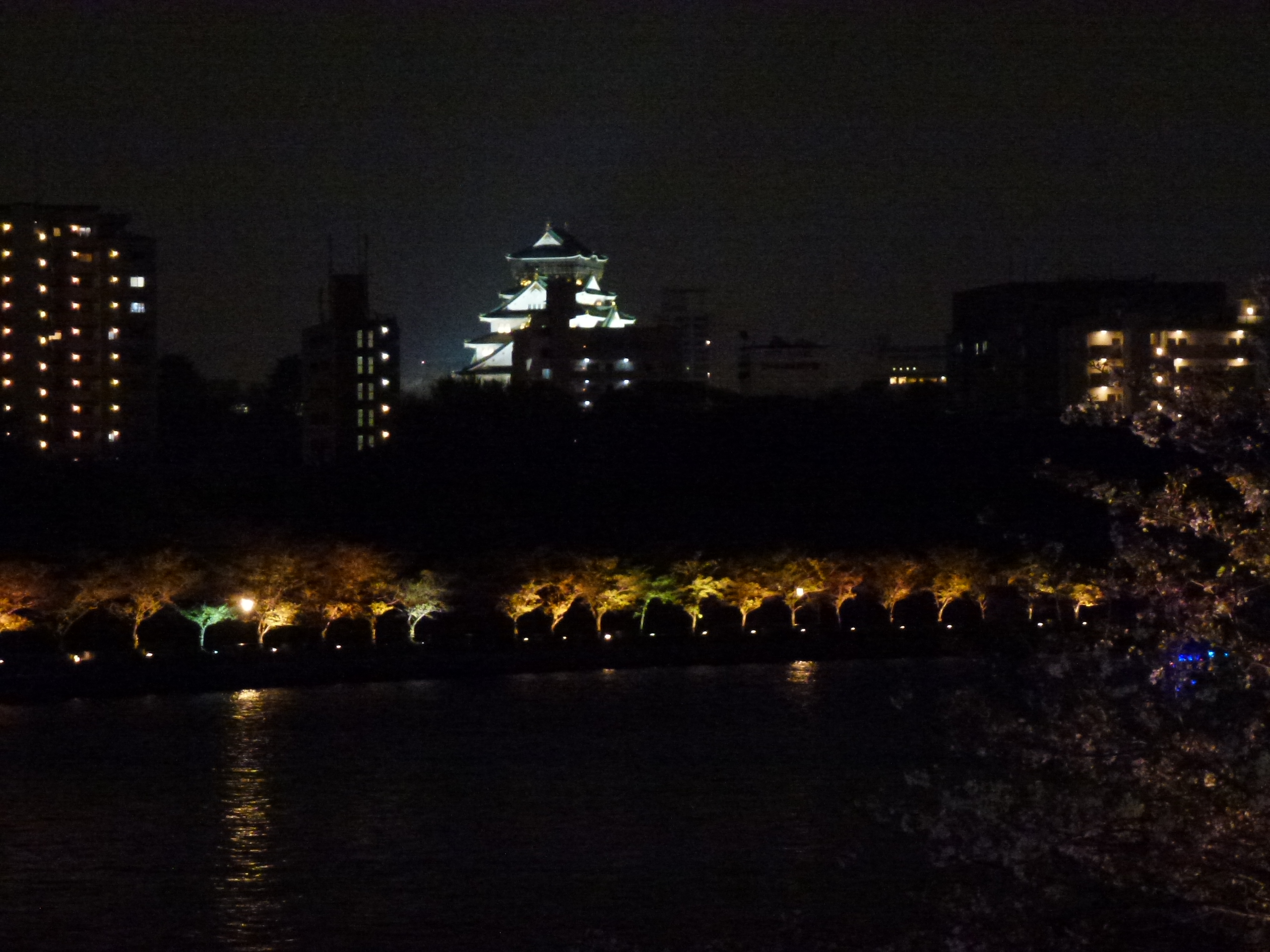 P1040329.JPG