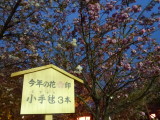 img0010.jpg