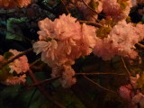 img0014.jpg