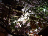 img0026.jpg