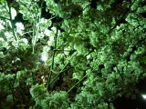 img0028.jpg