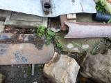 img0009.jpg
