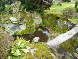img0014.jpg