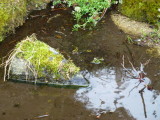 img0015.jpg