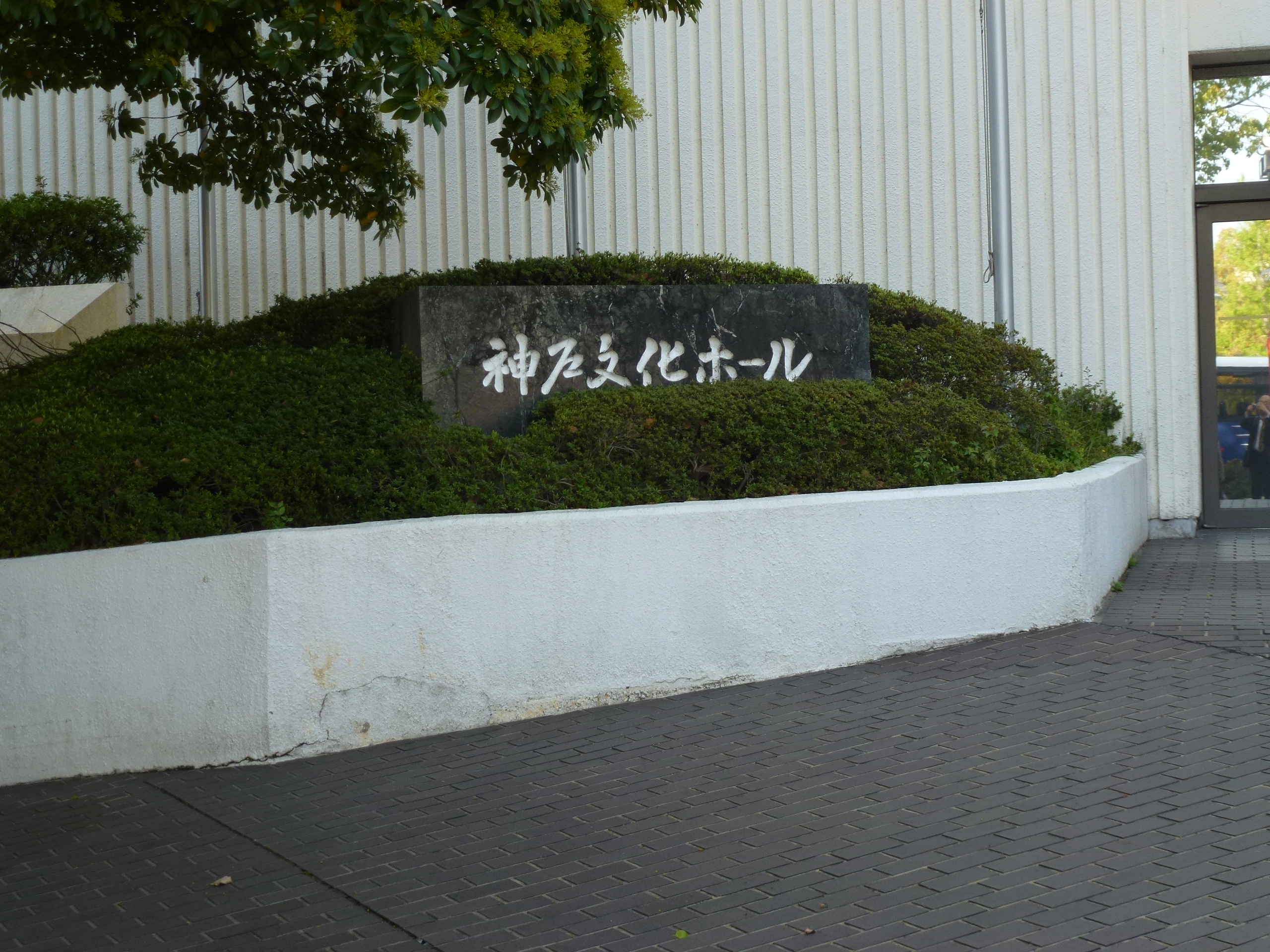P1040429.JPG