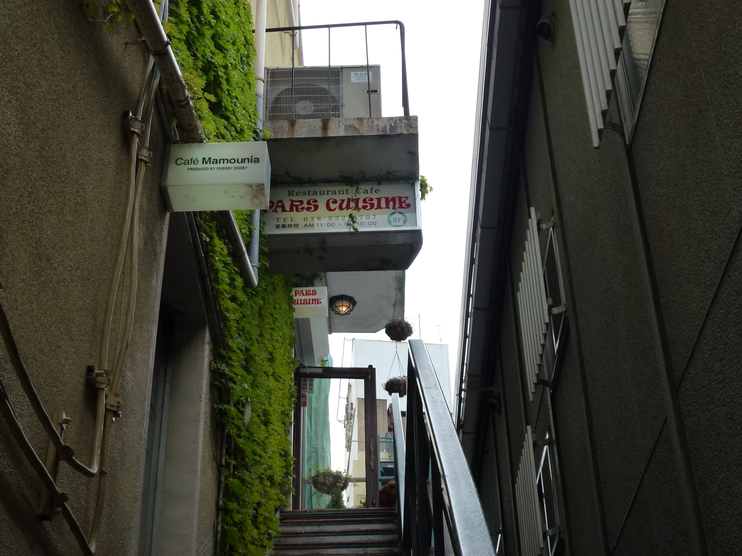 P1040438.JPG
