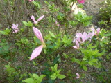 img0000.jpg