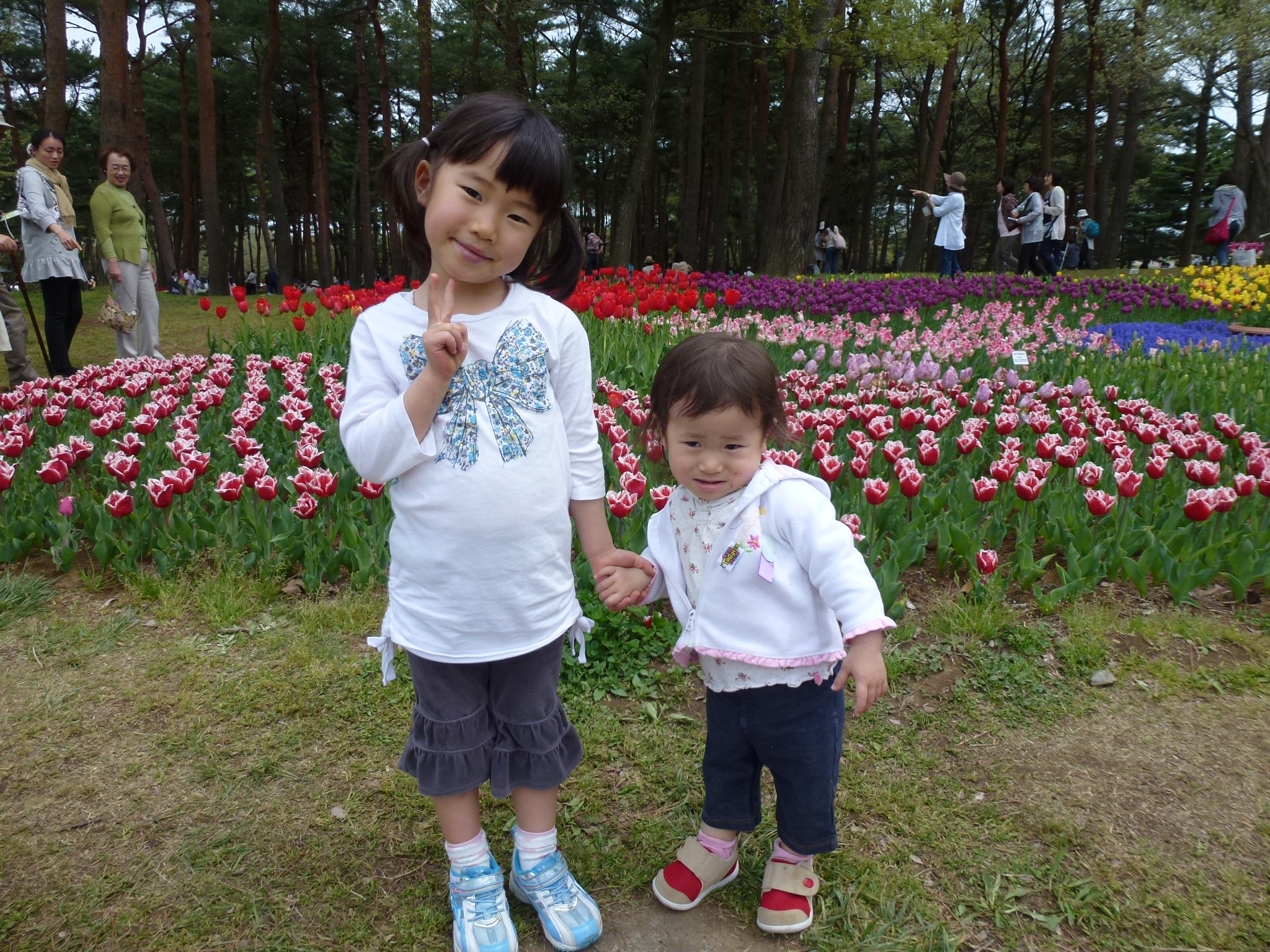 P1040546.JPG