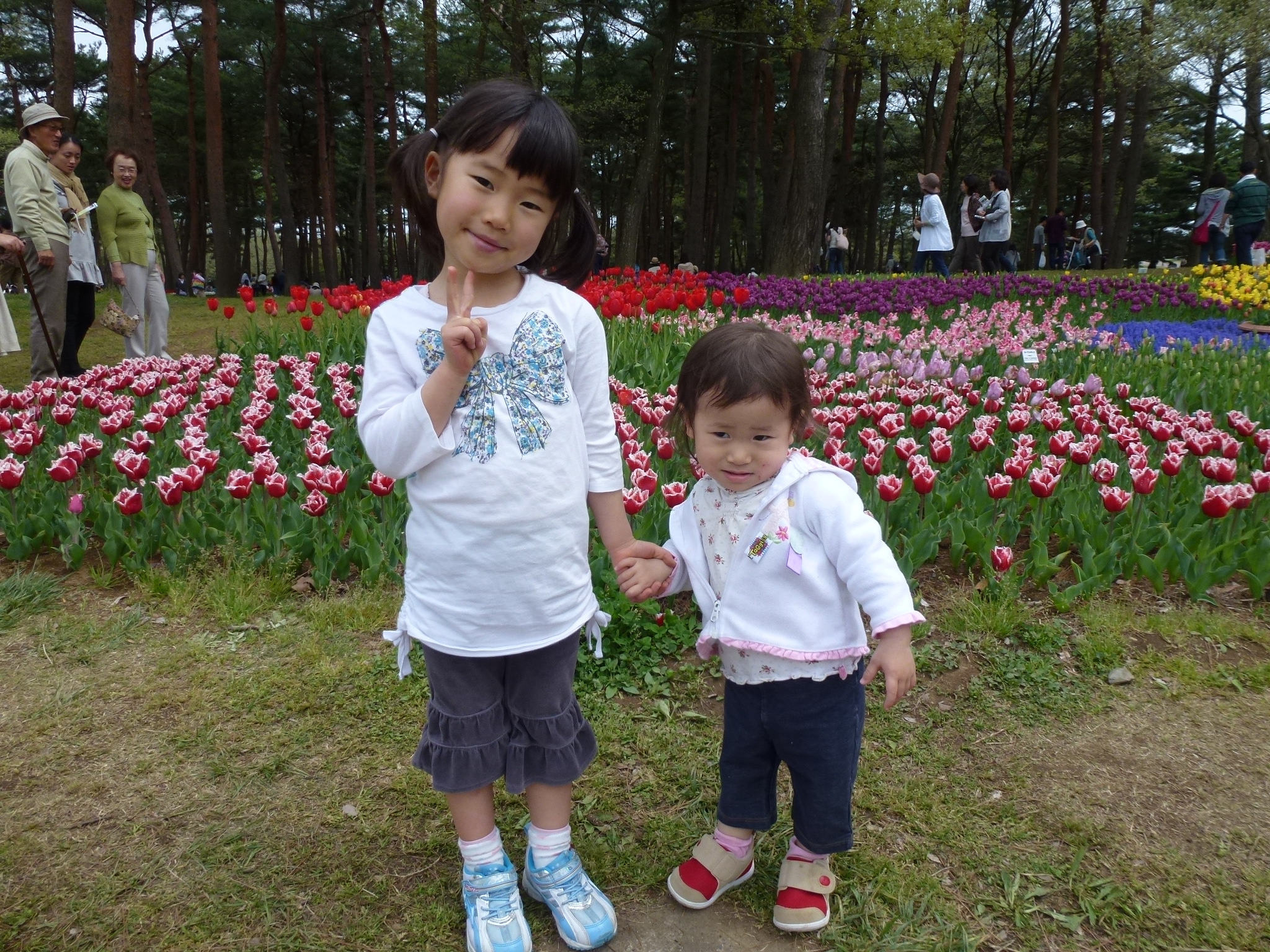 P1040547.JPG