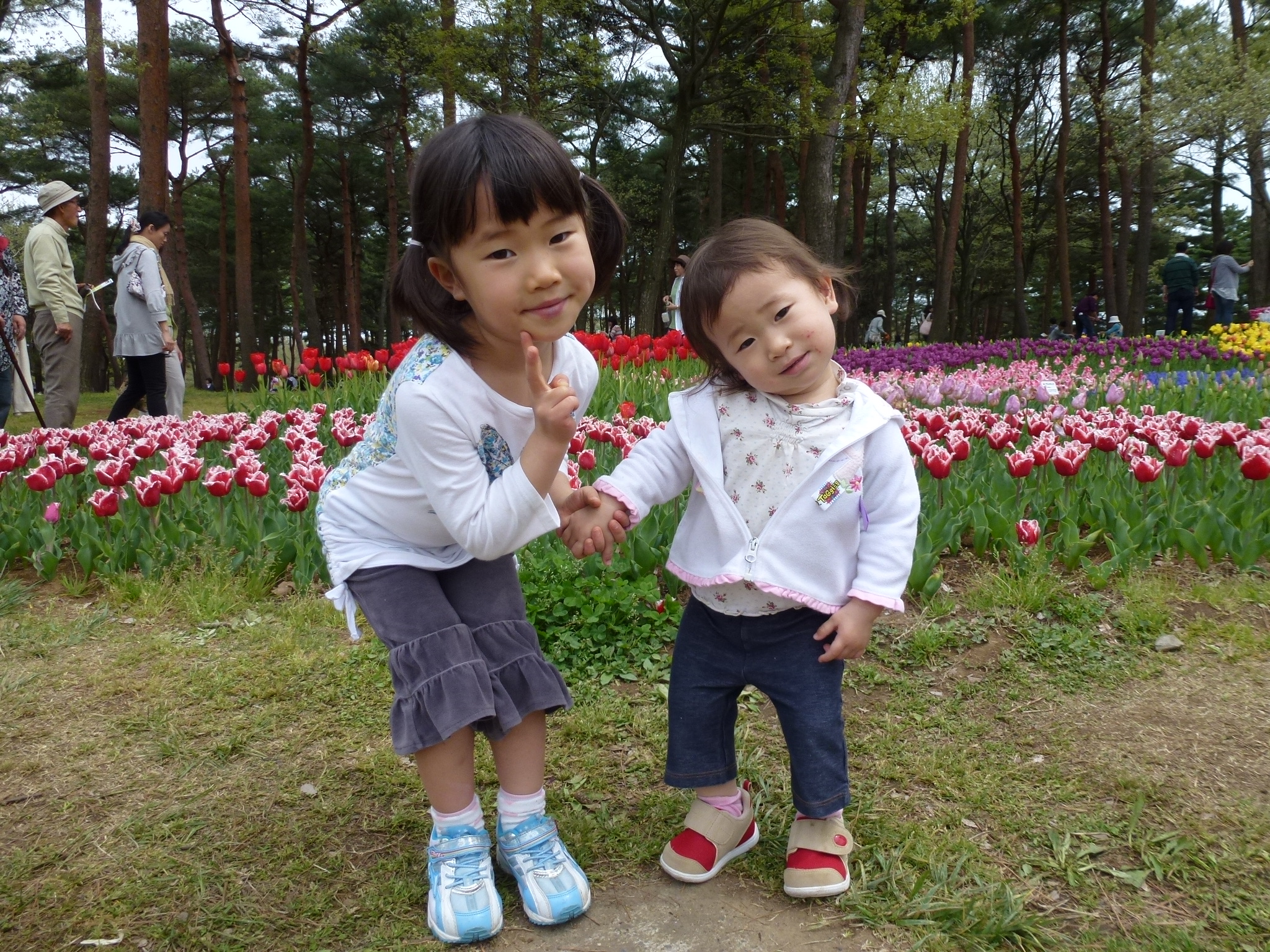 P1040548.JPG