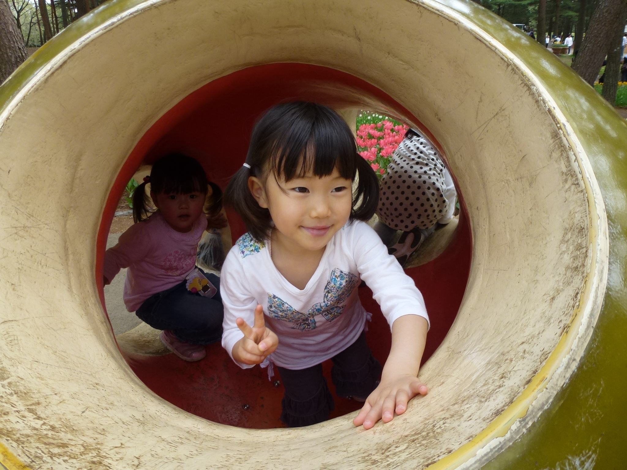 P1040561.JPG