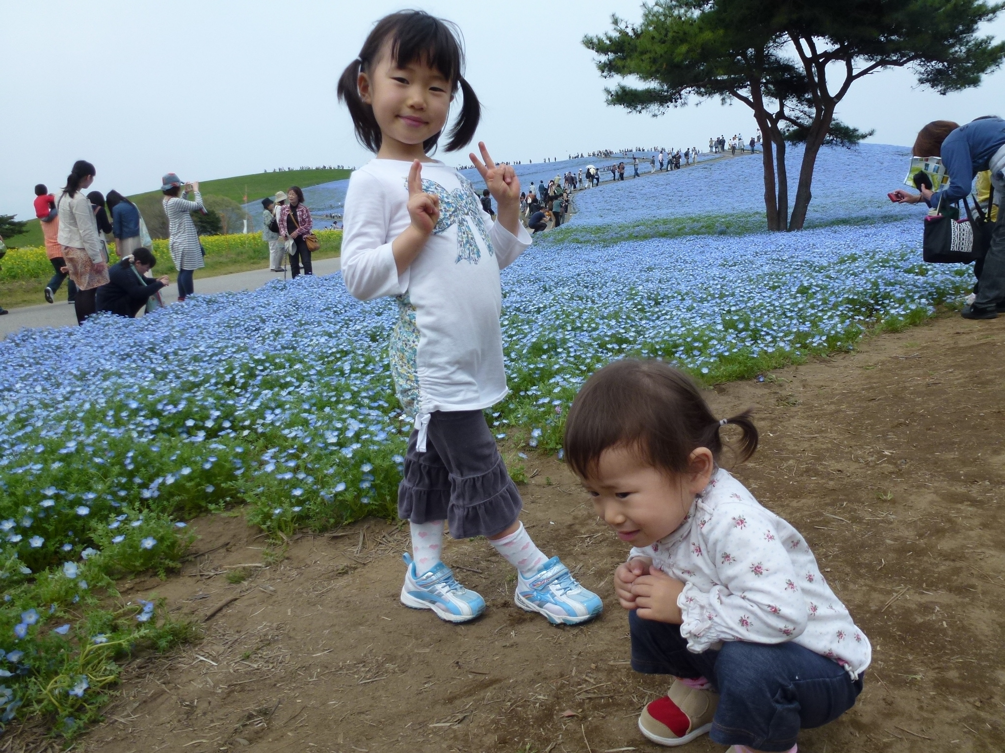 P1040588.JPG