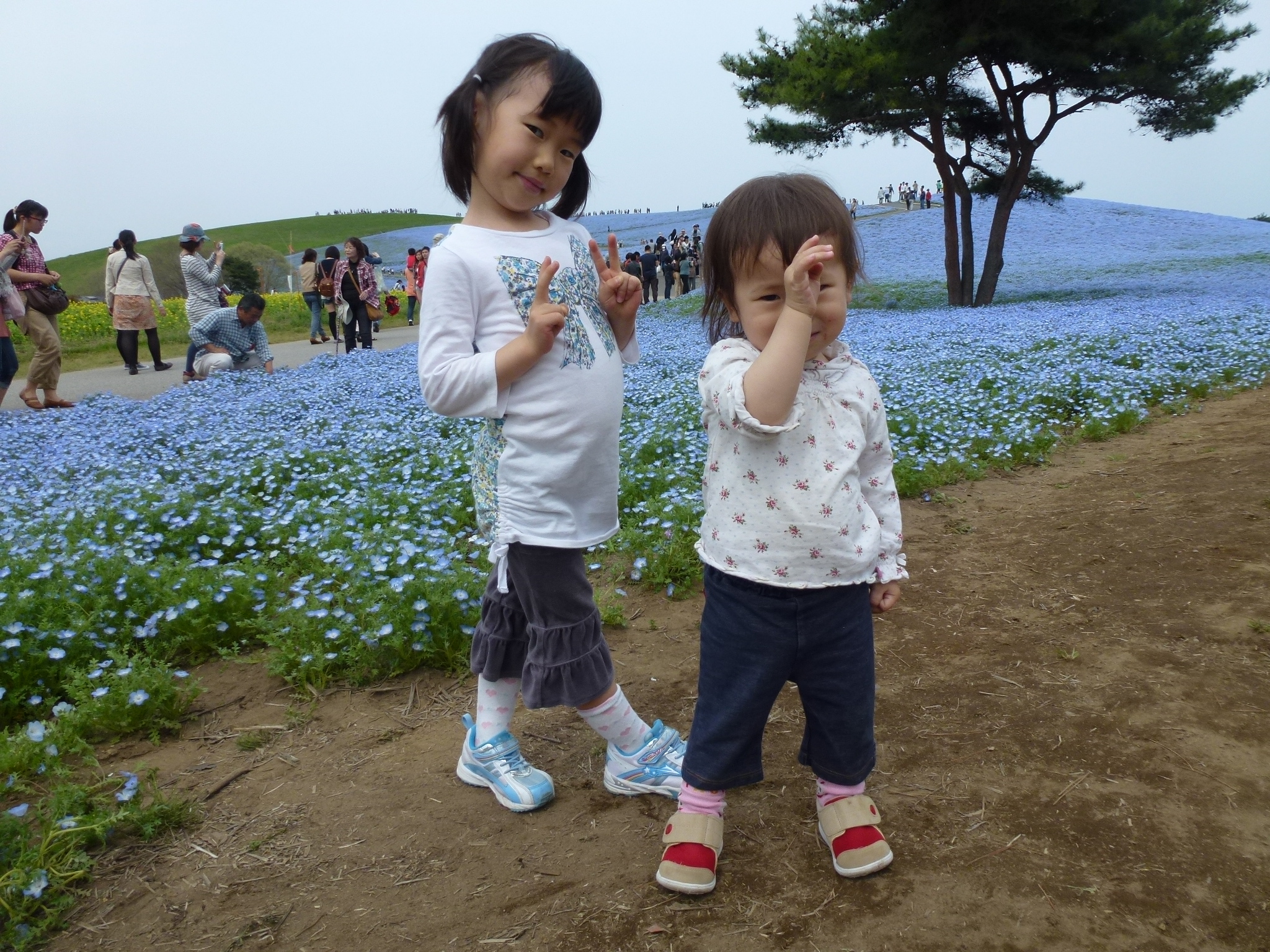 P1040589.JPG