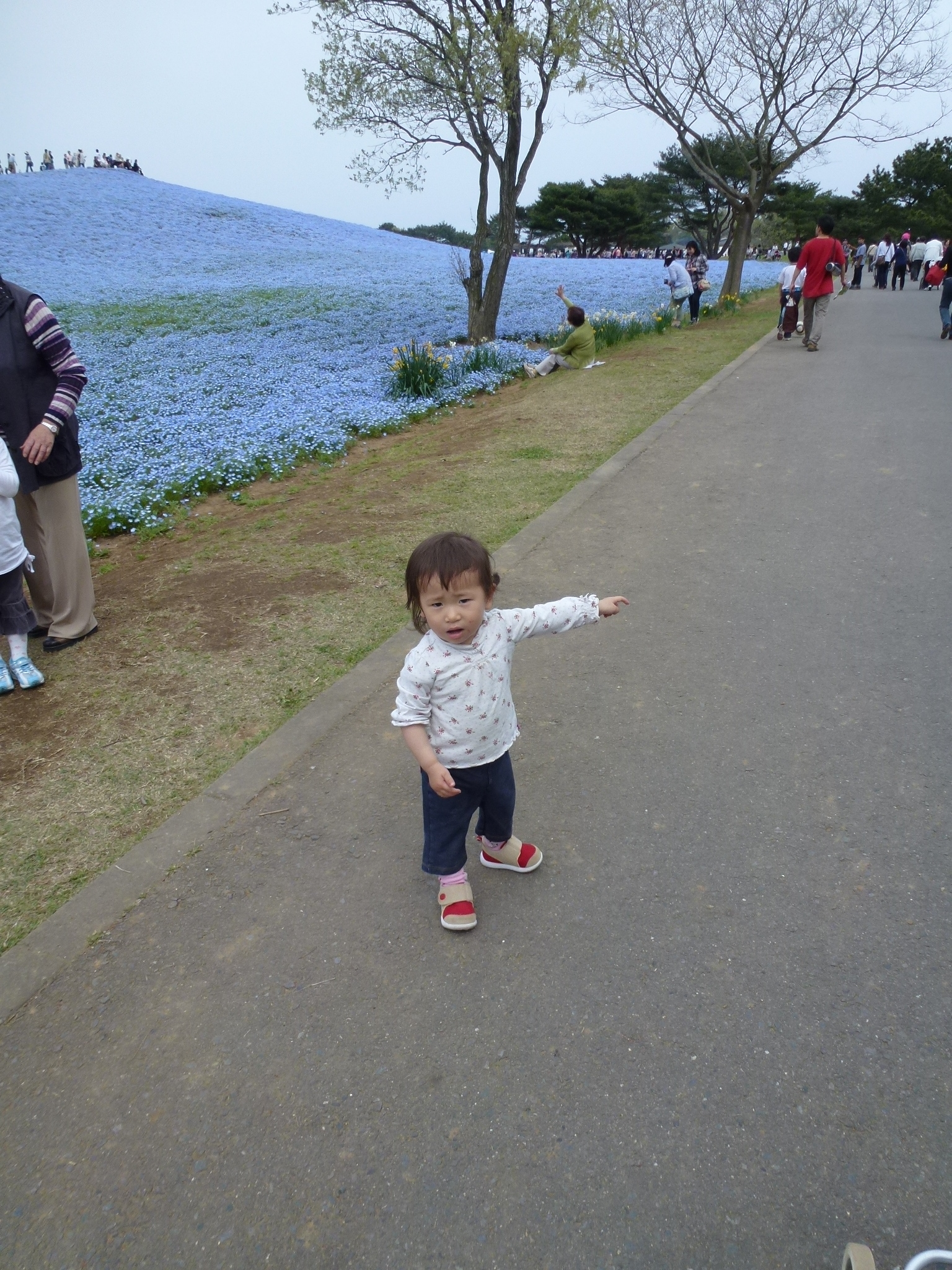 P1040594.JPG