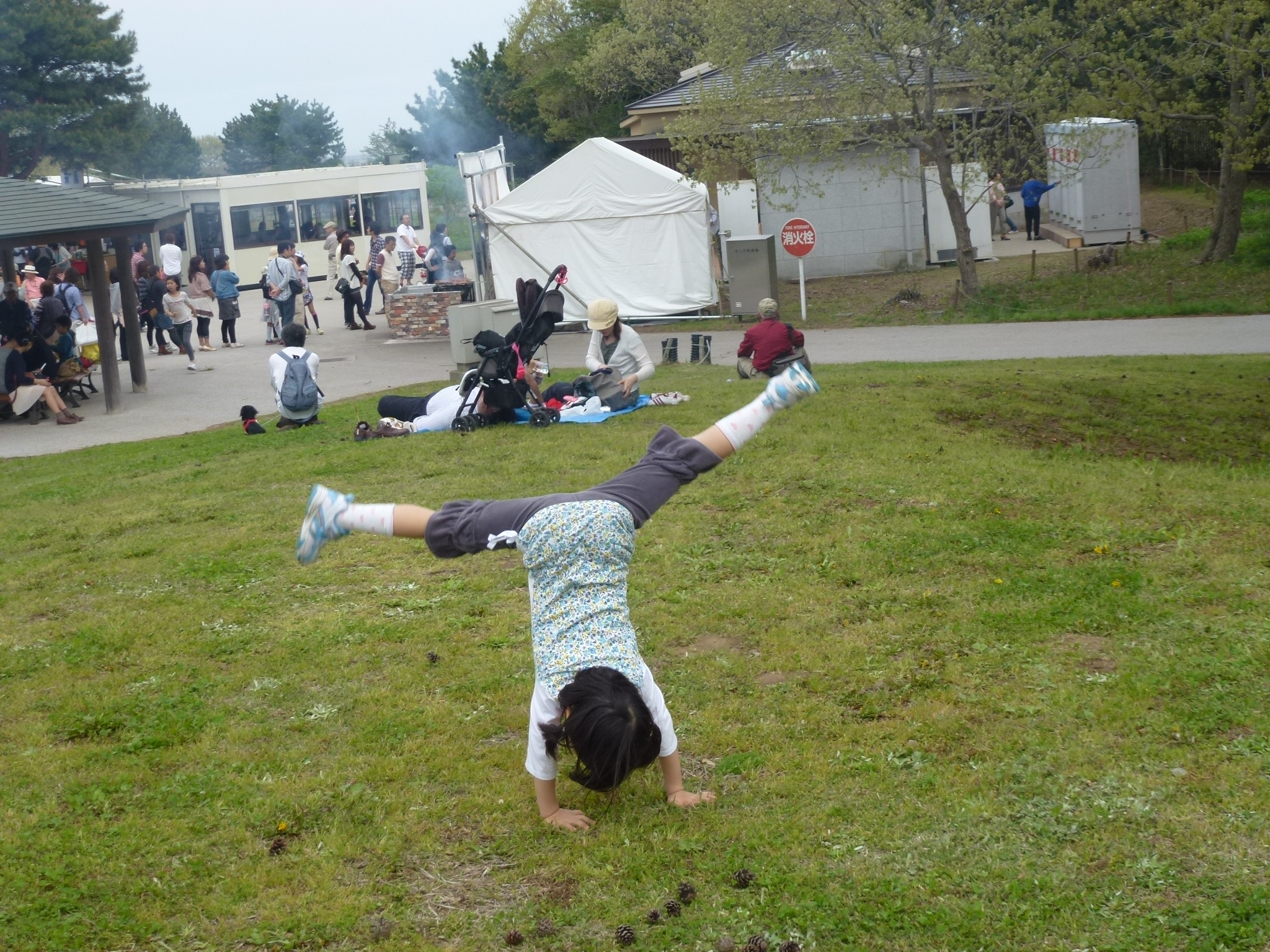 P1040604.JPG