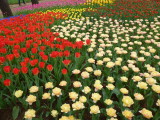 img0042.jpg