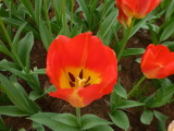 img0044.jpg