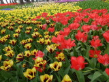 img0045.jpg