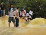 img0050.jpg