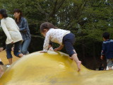 img0052.jpg
