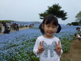img0061.jpg