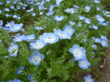 img0062.jpg
