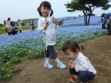 img0064.jpg