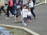 img0084.jpg