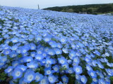 img0085.jpg