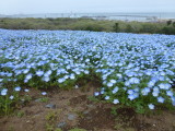 img0086.jpg