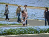 img0087.jpg