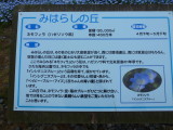 img0089.jpg