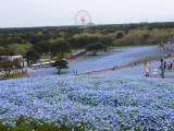 img0090.jpg