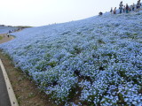 img0096.jpg
