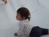 img0122.jpg
