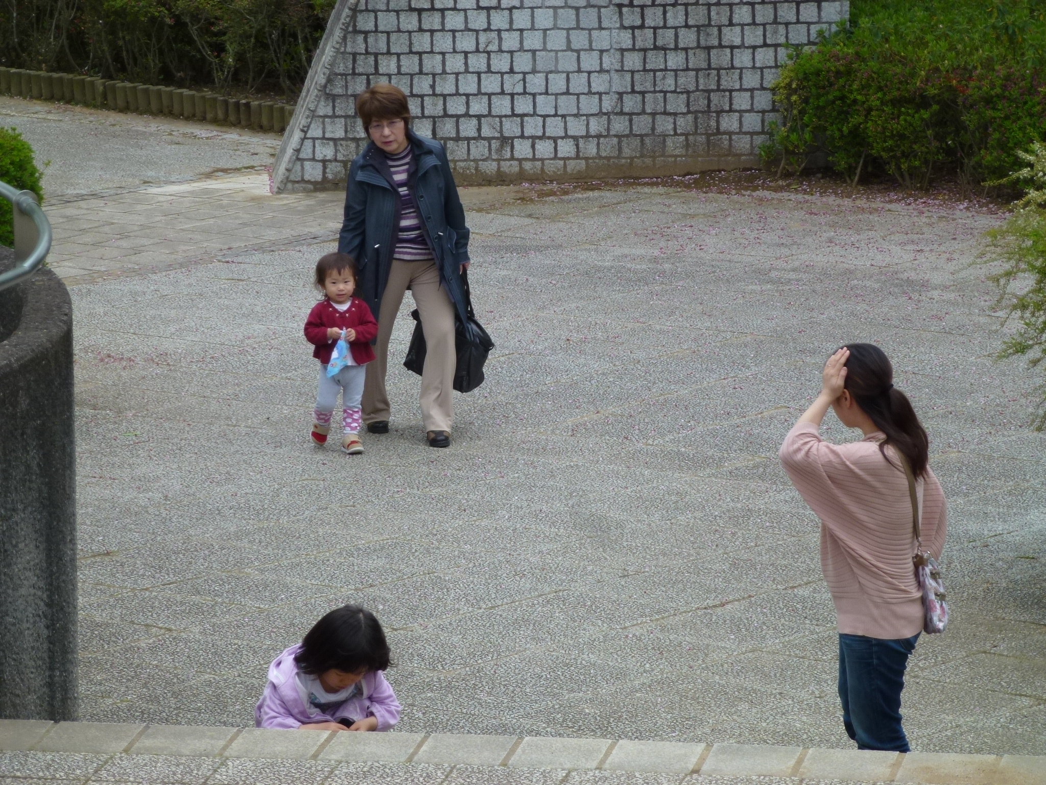 P1040689.JPG