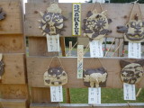 img0017.jpg